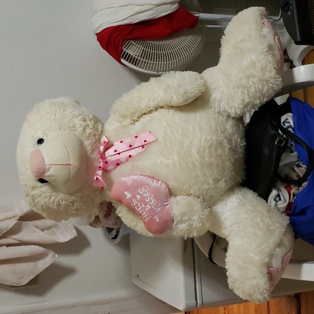 Teddy bear